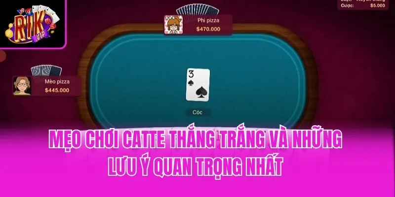 Mẹo chơi Catte thắng trắng và những lưu ý quan trọng nhất